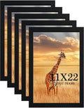 11x22 Picture Frame 5 Pack - Newspaper Frame for Assorted Media