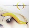 Thirteenth Step album - melodic alternative metal that grows on you