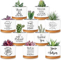 Thank You Succulent Pots 20 Pack - Employee Appreciation Gifts