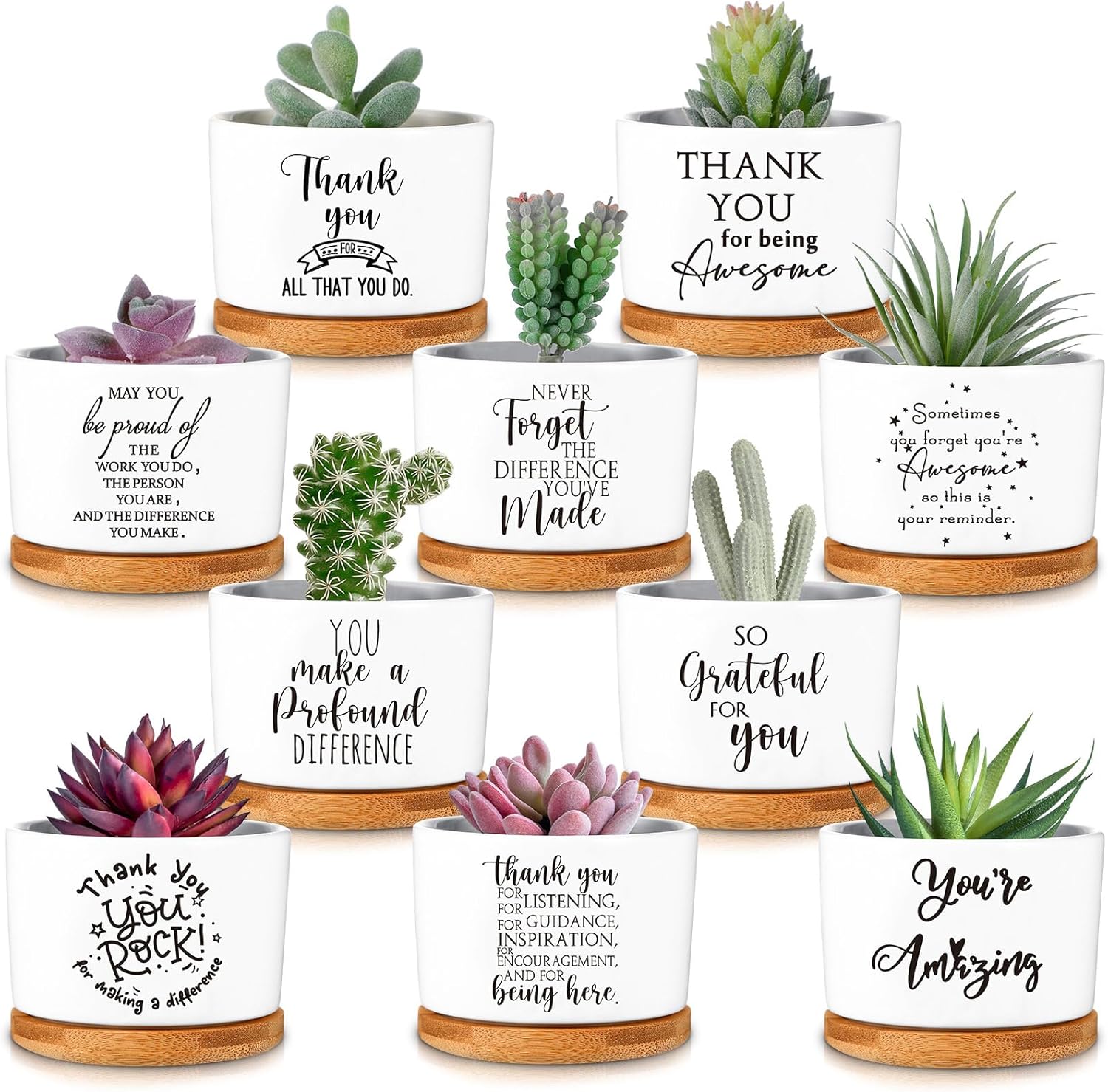 20 Pcs Thank You Employee Appreciation Succulent Gift Set