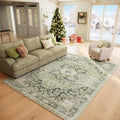 Machine Washable Boho Vintage Area Rug for Living Room