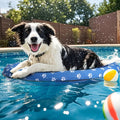 Inflatable Dog Float for Small Dogs Up to 60 Lbs - Portable Pool Raft