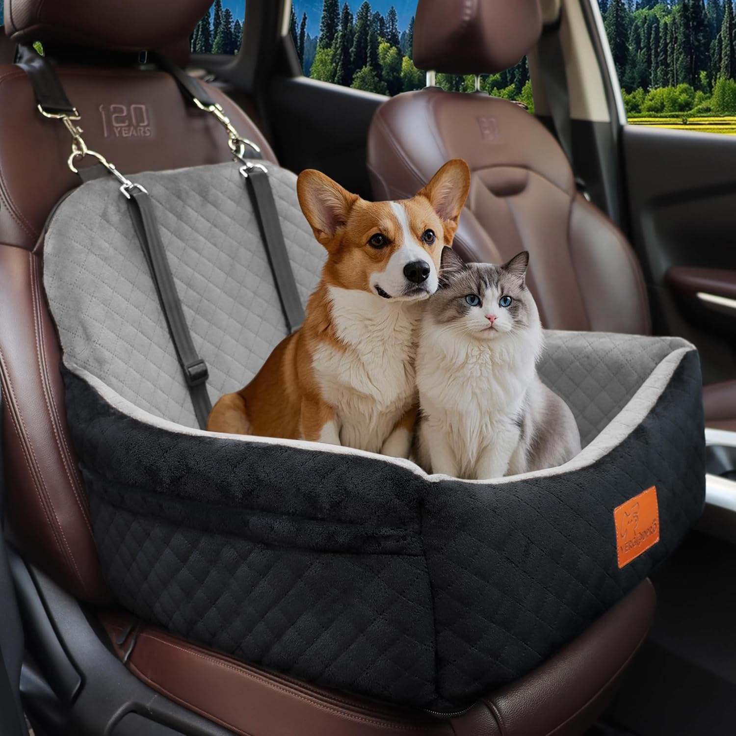 Dog Car Seat for Small Dogs with Memory Foam and Safety Leashes