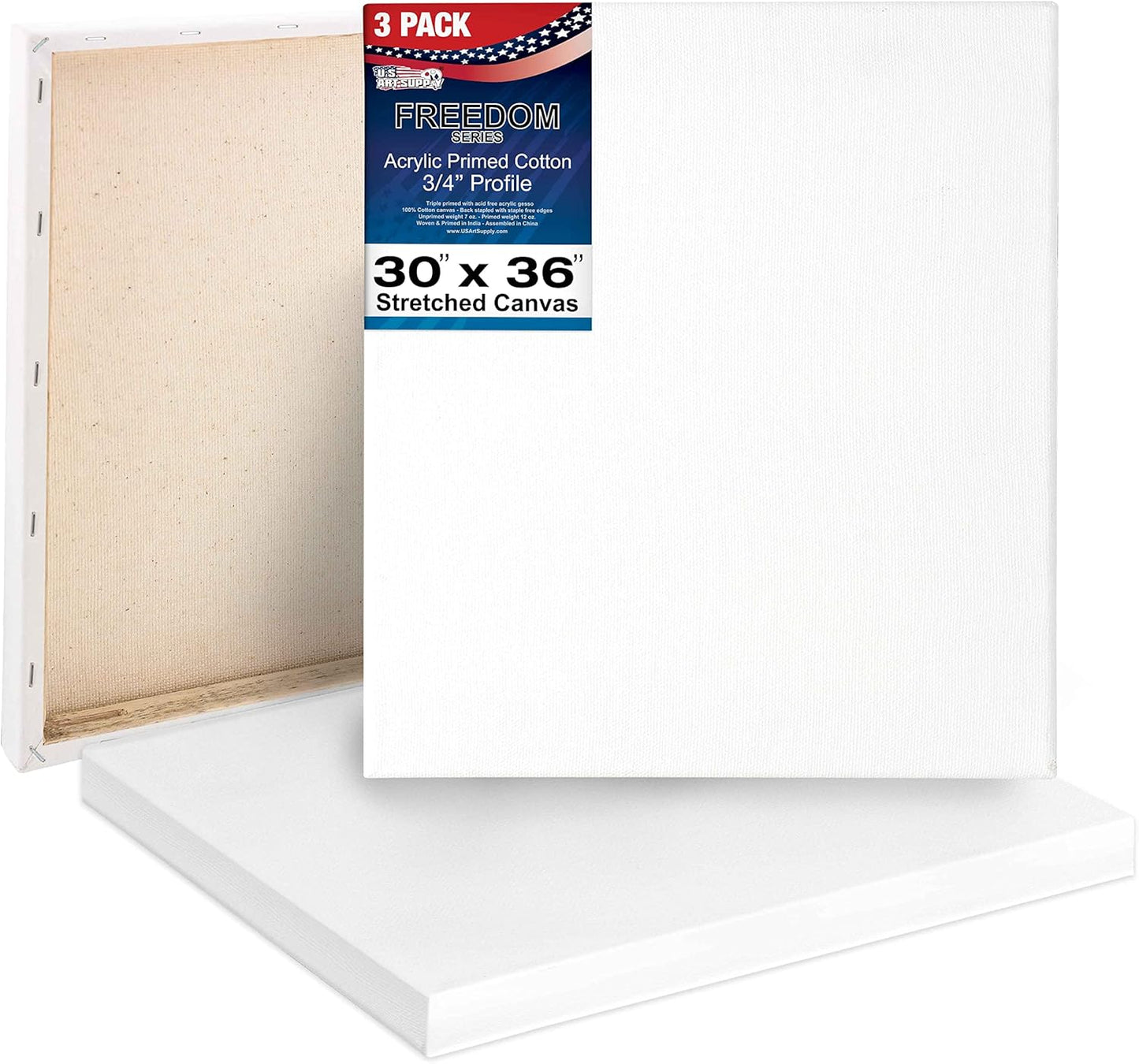 Professional Artist Quality Stretched Canvas 3-Pack for Painting