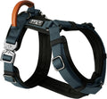 MADE TO ROAM Explorer Harness - Durable Y-Shaped Dog Harness