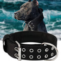 Dog Collar for Large Dogs - Heavy Duty Tactical Collar XL