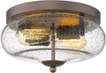 Darkaway Oil-Rubbed Bronze Ceiling Light Flush Mount - Farmhouse
