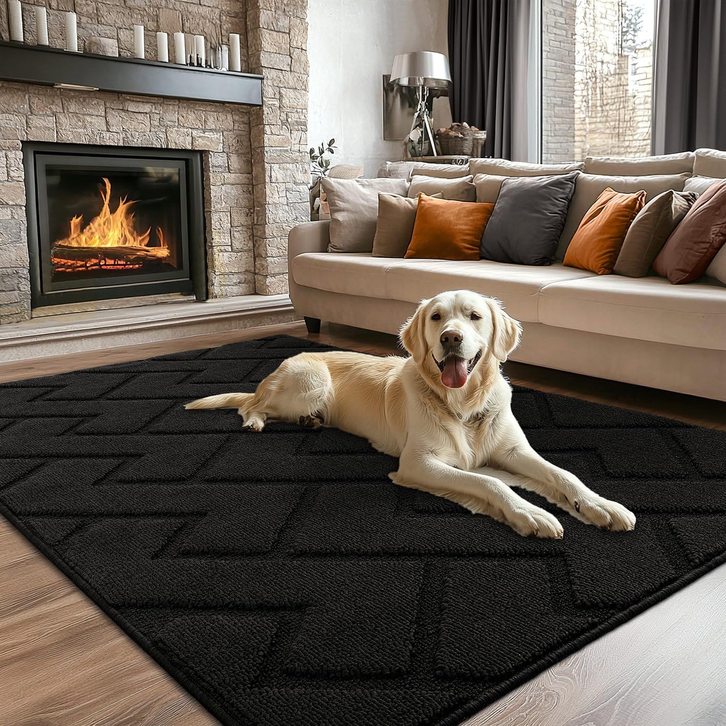 Hicorfe Indoor Doormat 47x71 Non-Slip Absorbent Floor Mat