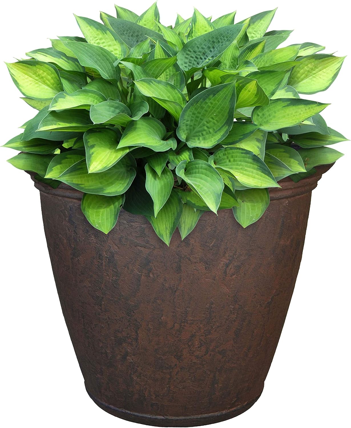 Sunnydaze 15.25-Inch Anjelica Large Plastic Pot for Plants