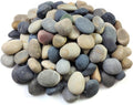 40 lbs Garden Rocks Pebbles 2-3 in Decorative River Rocks - Large
