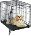 MidWest Homes for Pets 30-Inch Folding Dog Crate for Medium Dogs