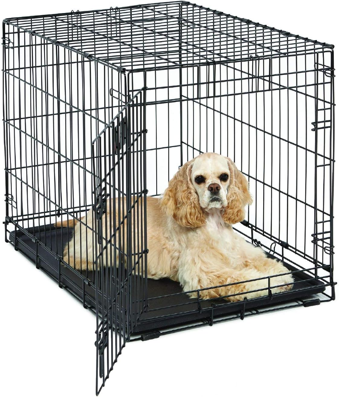 MidWest Homes for Pets 30-Inch Folding Dog Crate for Medium Dogs