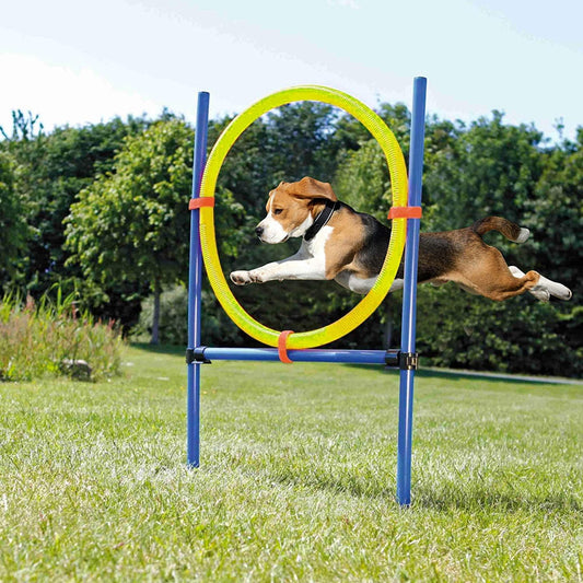 Petprime Dog Ring Agility Kit for Outdoor Training Fun
