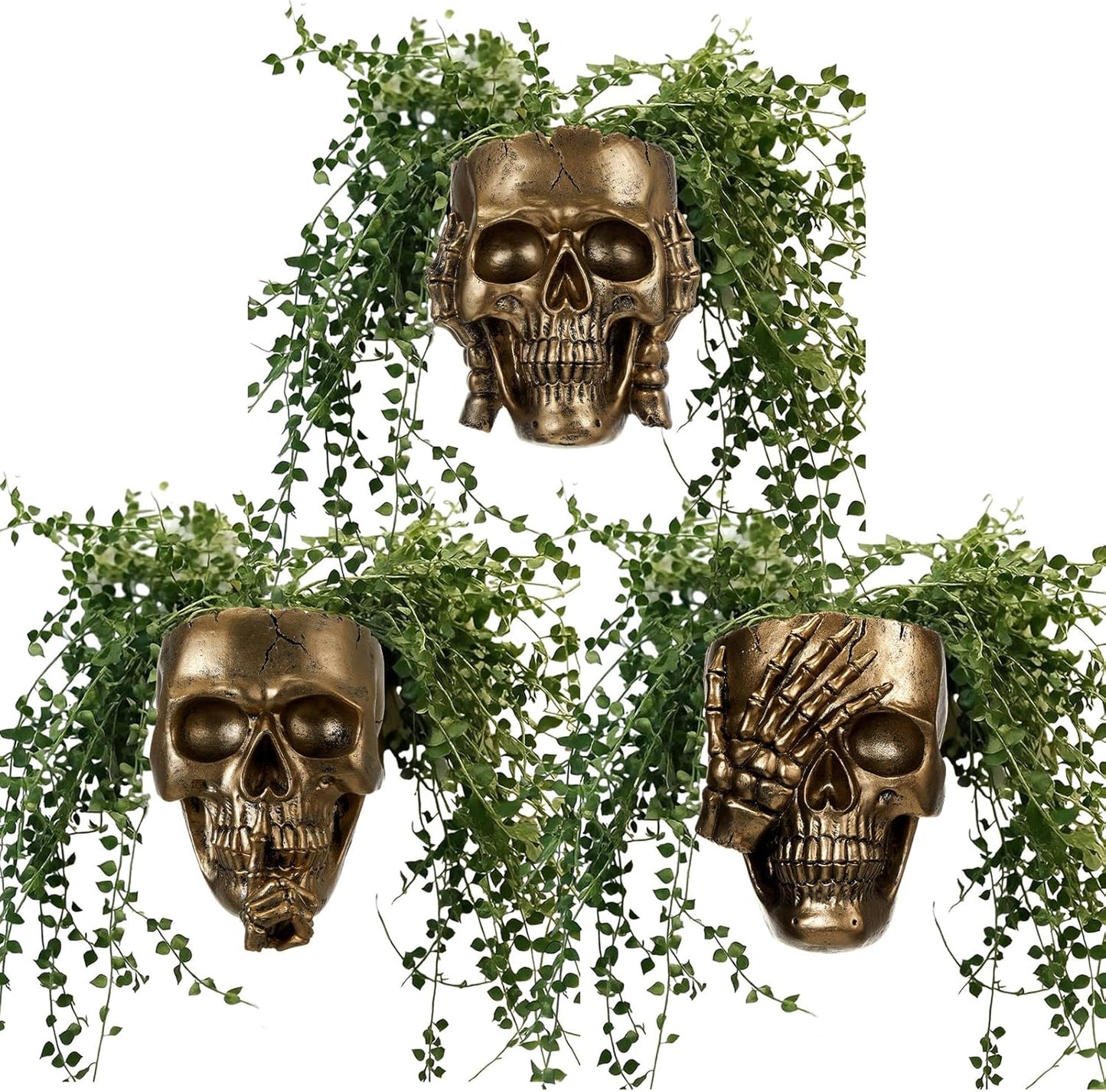 3pcs Halloween Skull Wall Planter for Unique Spooky Decor