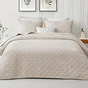 Exclusivo Mezcla Twin Size Quilt Set for All Seasons Comfort