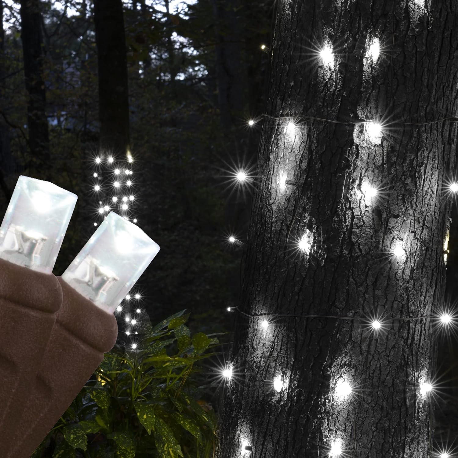 70 Cool White StretchNet Pro Expandable Christmas Net Lights