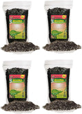 Begonia Potting Mix - Premium Blend for Vibrant Flowers