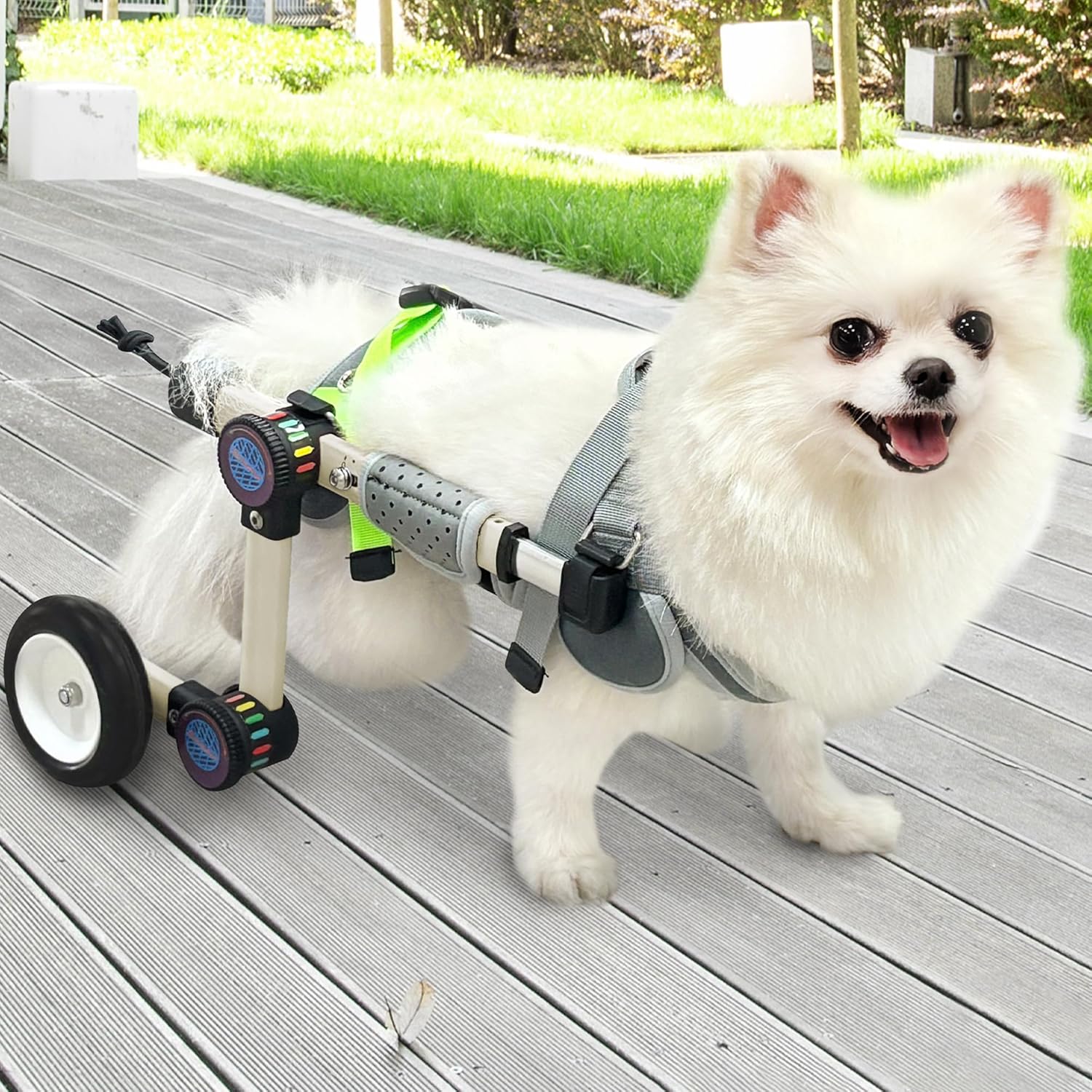 Adjustable Dog Wheelchair for Back Legs Mobility Support