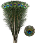 Larryhot Long Peacock Feathers Bulk - 40pcs 28-32 in for Vases