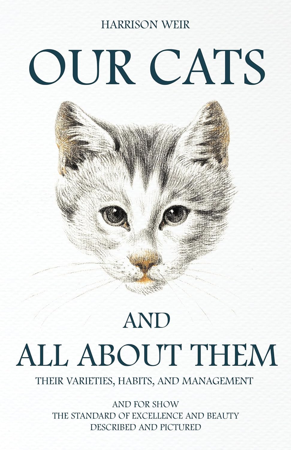 Our Cats and All about Them: Varieties, Habits, and Management