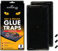 Kingman Prime - Large Rat Glue Trap (5 Pack) Heavy Duty