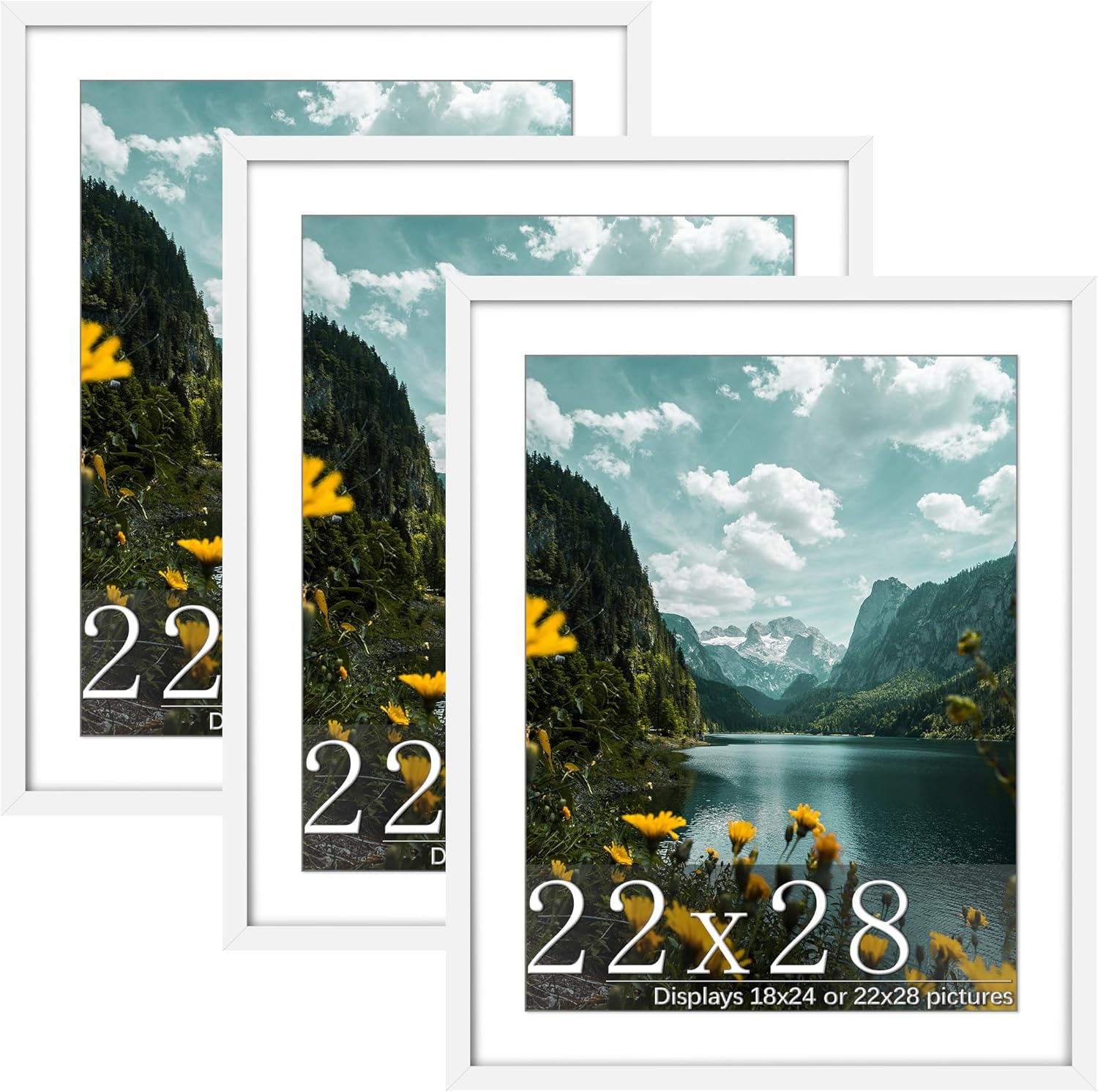 Flexible 22x28 Poster Frame 3 Pack for Horizontal or Vertical Display