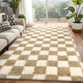Rugs for Living Room Bedroom 5x7 ft Beige White Checkered - Fluffy