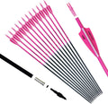 30inch Carbon Arrows for Target Practice and Hunting - Pack of 12