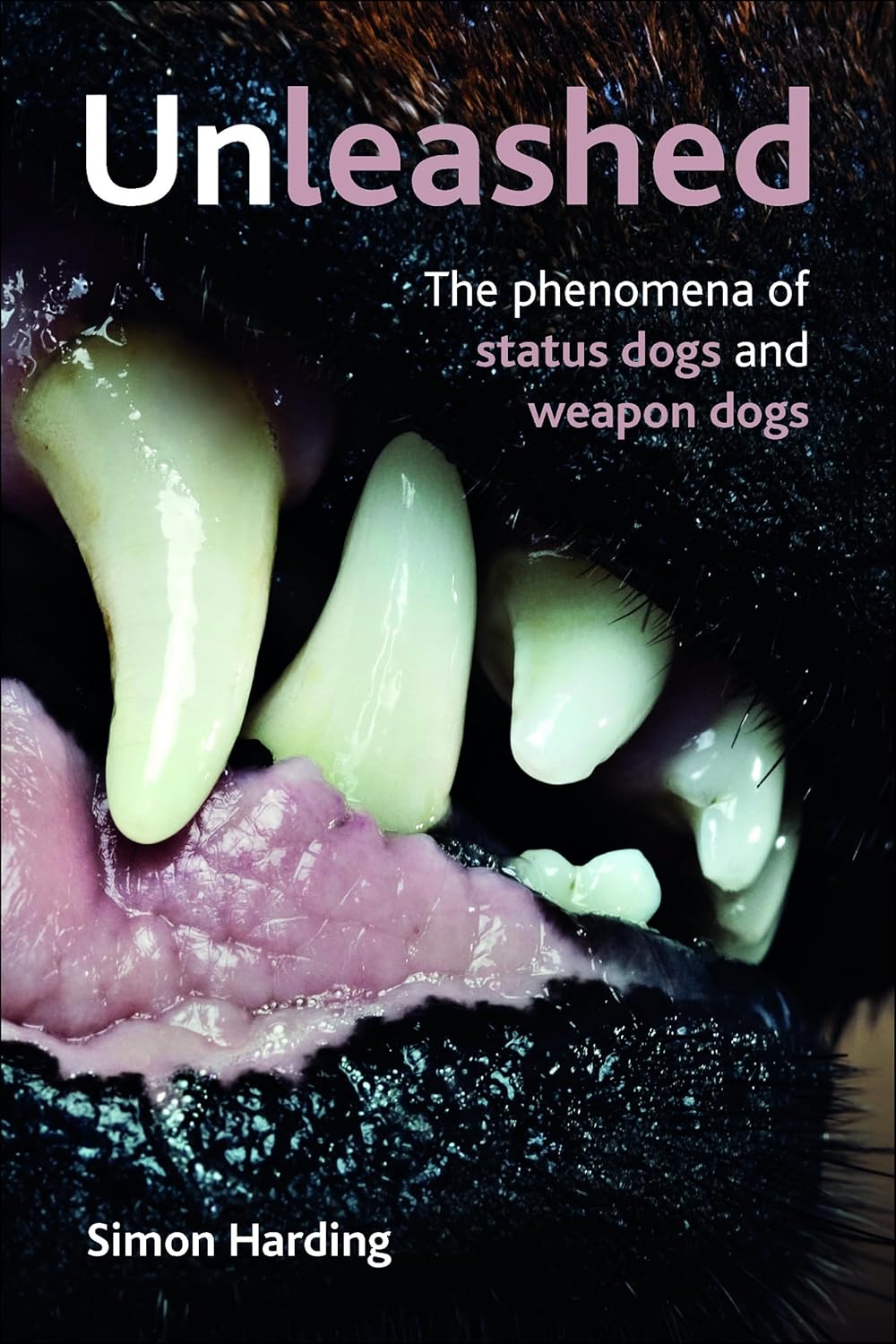 Unleashed: The Phenomena of Status Dogs and Weapon Dogs Explained