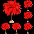 80 Pcs Large Natural Ostrich Feathers Plumes 14-16 in Bulk - DIY