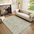 Washable Area Rug 5 ft x 7 ft Non-Slip Low Pile Vintage Boho