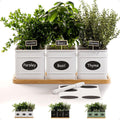 Herb Planter Indoor - 3 Iron Pots with Bamboo Tray - Windowsill Herb
