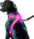 Noxgear LightHound Illuminated Reflective Dog Harness - Multicolor