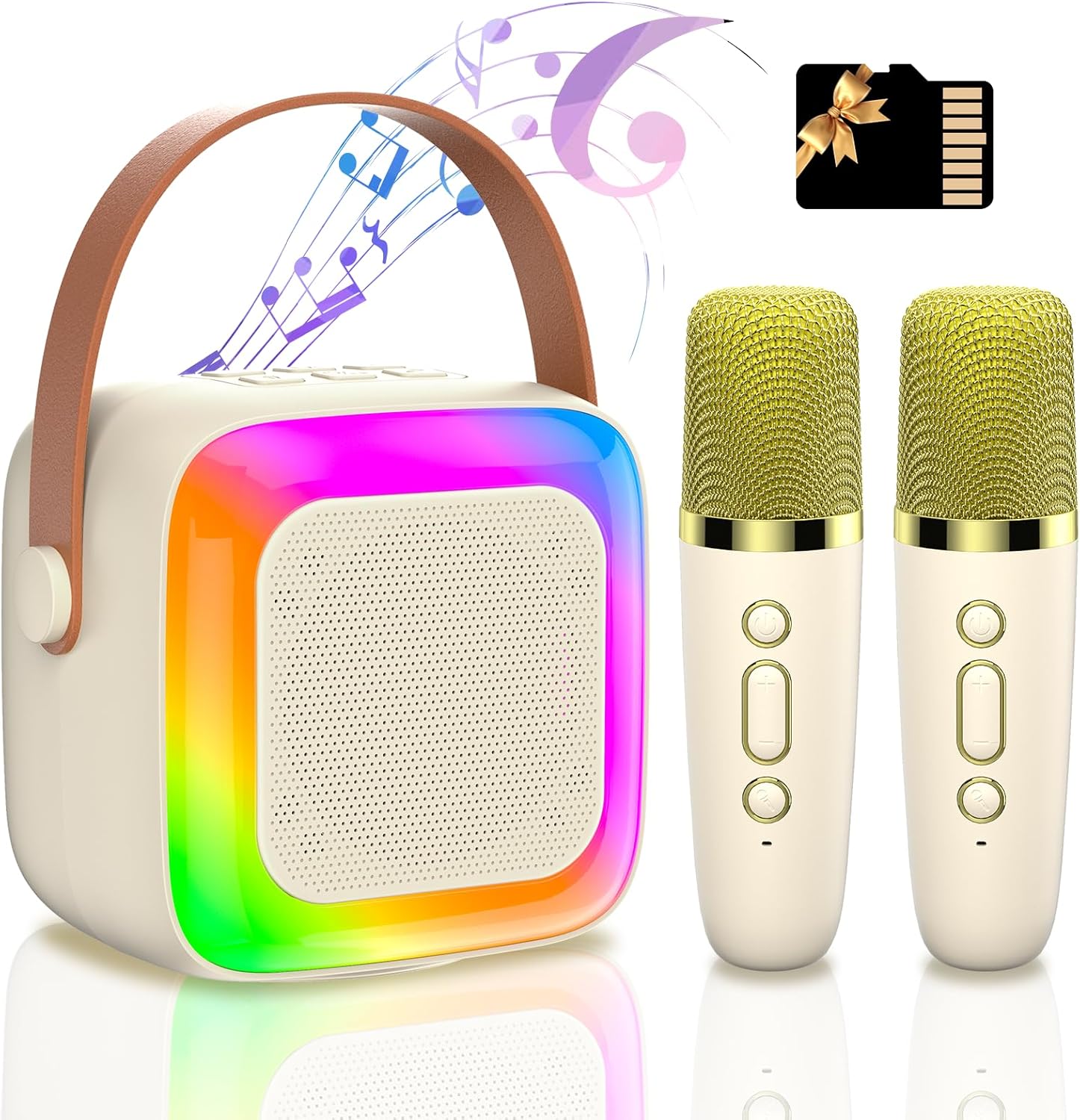 Portable Bluetooth Karaoke Speaker with 2 Mics