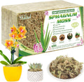 Sphagnum Moss 85 QT Compressed Brick - Long Fiber Orchid Moss