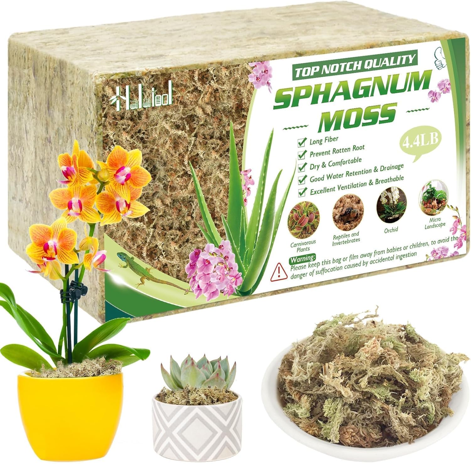 Natural Sphagnum Moss for Plants - Ideal for Orchids and More