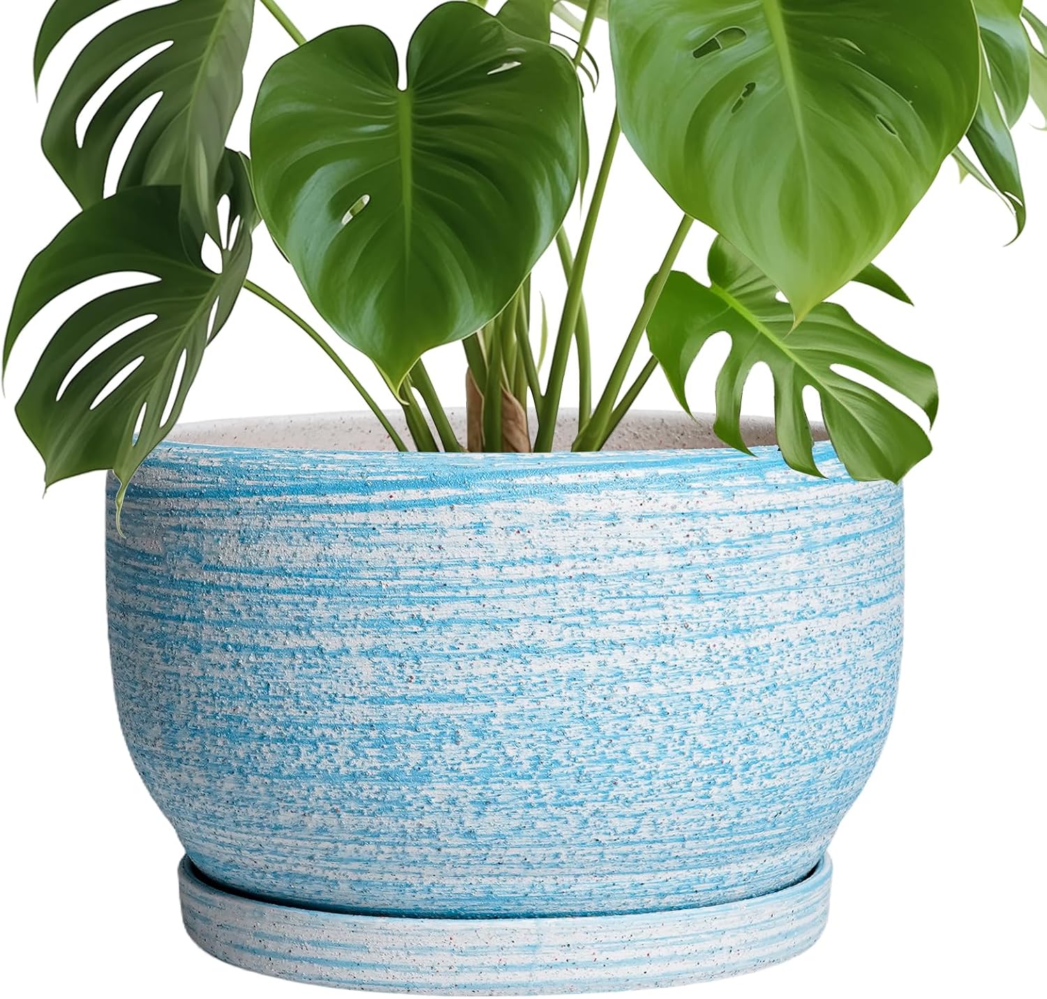 SQOWL Ceramic Plant Pots - Stylish 10 Inch Flower Planter