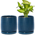 D'vine Dev 6 in Beaded Ceramic Planter Set of 2 - Stylish Indoor Pots