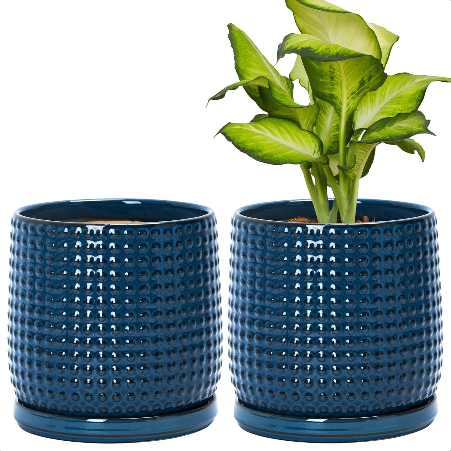 D'vine Dev Set of 2 Ceramic Plant Pots with Drainage Hole
