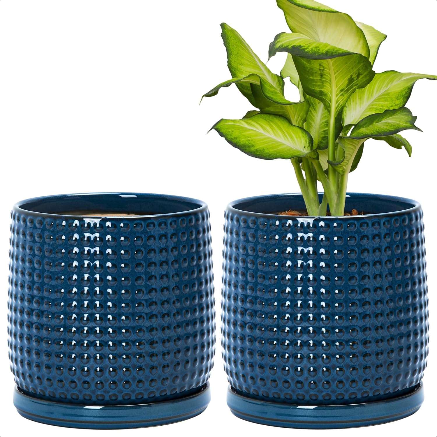 D'vine Dev Set of 2 Ceramic Plant Pots with Drainage Hole
