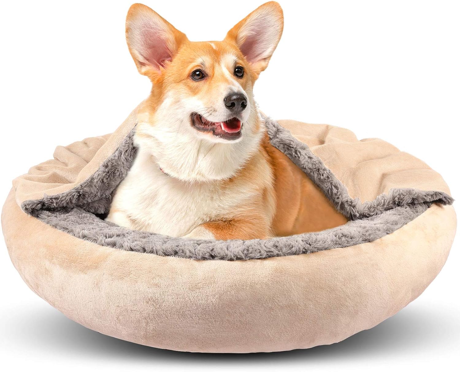 GASUR Dog Beds for Small Medium Dogs with Cozy Blanket Hood