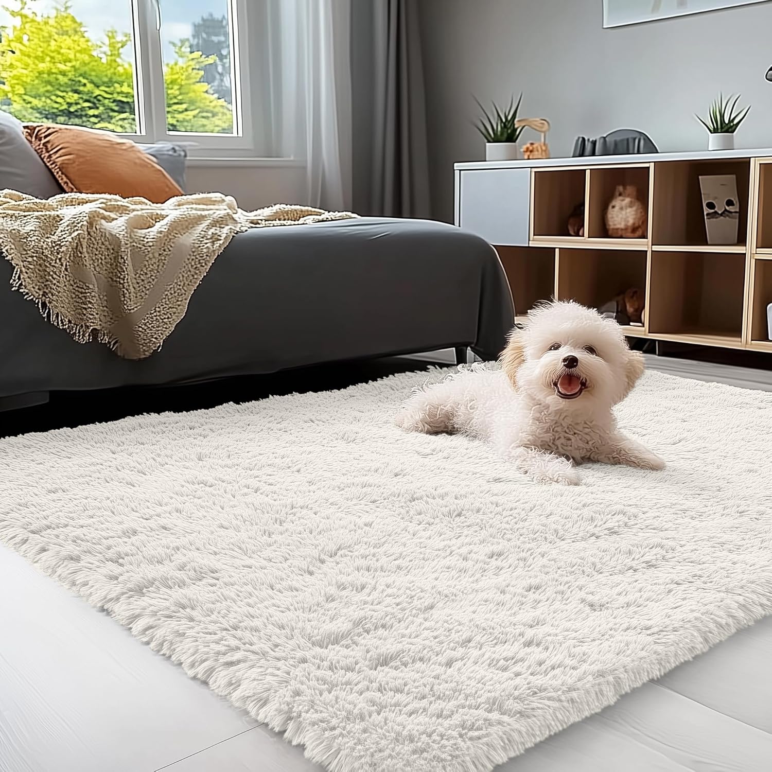 OLANLY 3x5 Machine Washable Soft Fluffy Shaggy Rug for Home