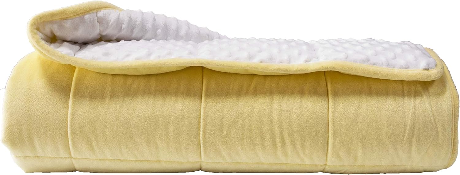 ALANSMA Reversible Weighted Blanket for All Season Comfort