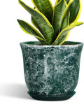 8 Inch Plant Pot Ceramic Planter with Drainage Hole - Durable Green