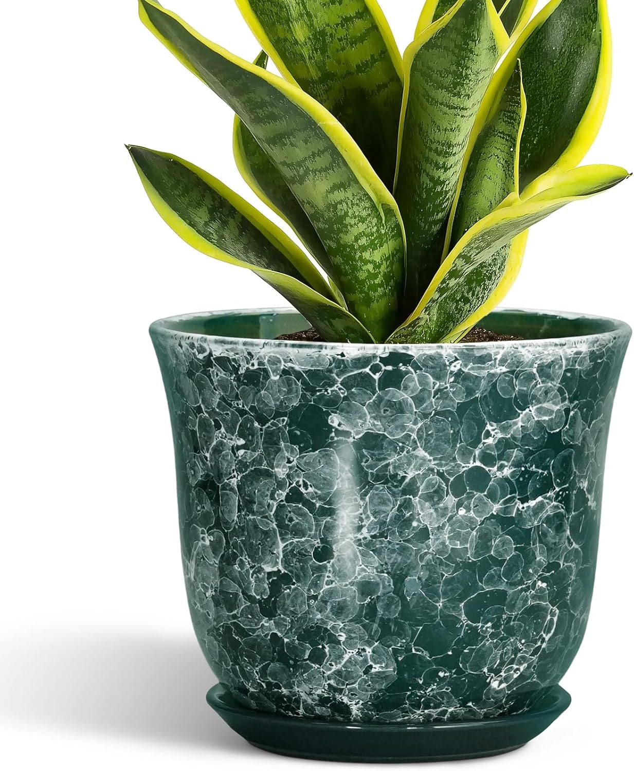 8 Inch Ceramic Plant Pot with Drainage Hole for Home Decor