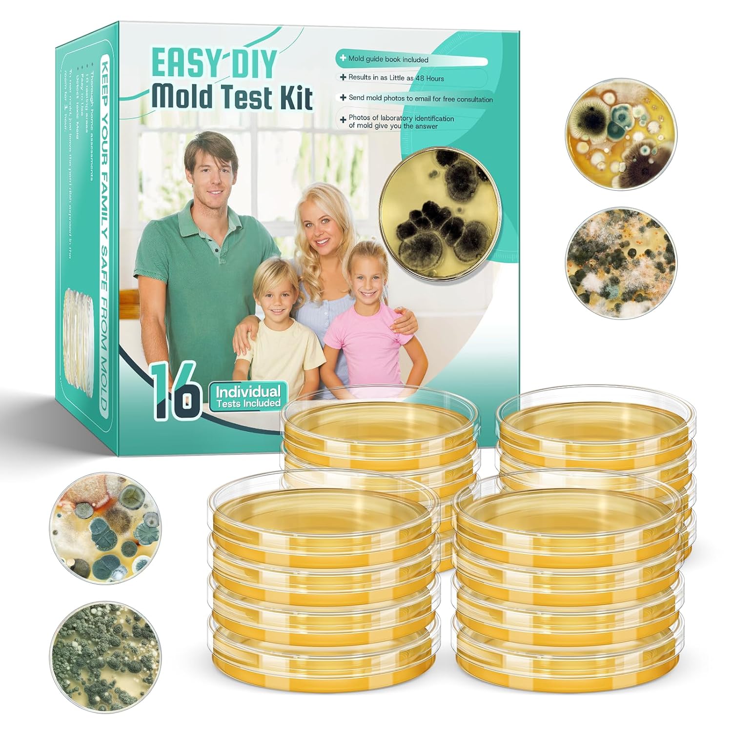 Mold Test Kit for Home Detection: Fast and Reliable Results