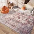 Area Rugs 5x7 Rug for Living Room - Soft Washable Low Pile Vintage