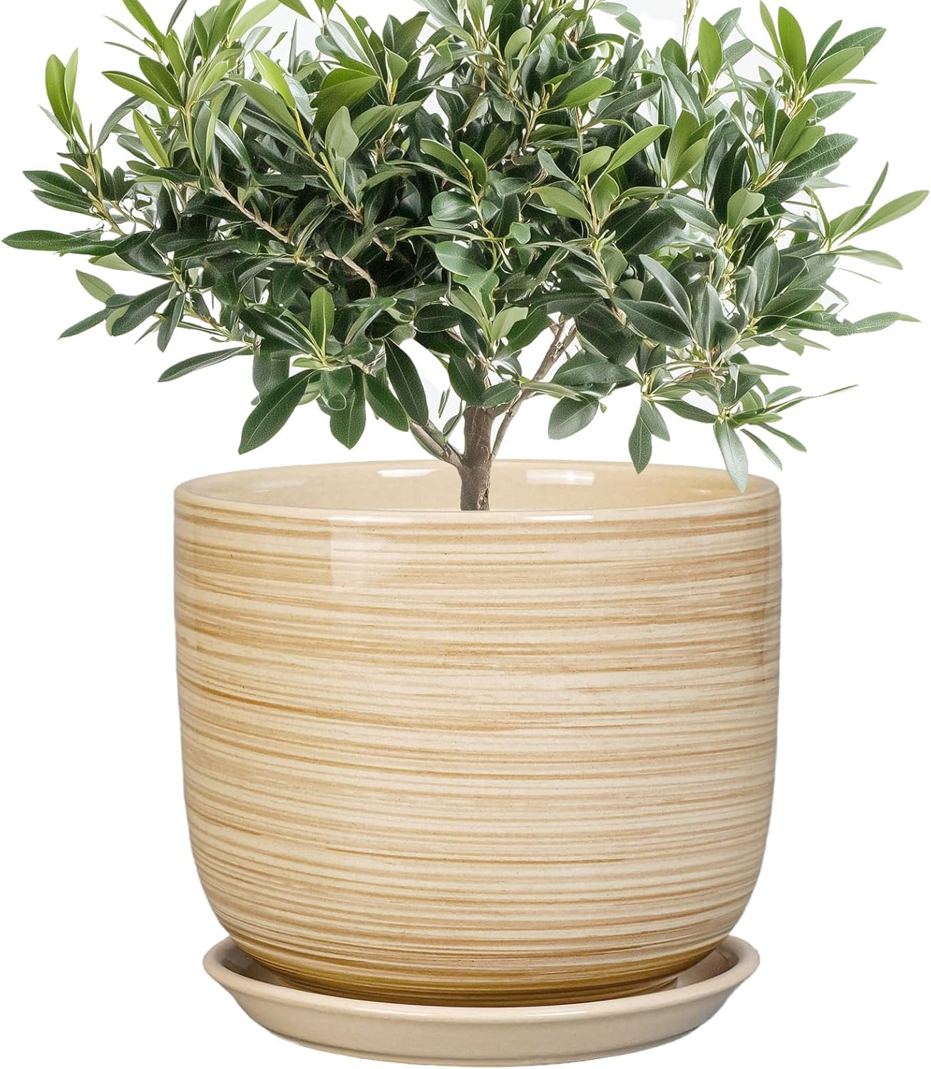 Indoor Plant Pot 8 Inch - Modern Ceramic Planter for Decor