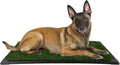 Set of 3 Reusable Pee Pads for Dogs - Perfect for Training