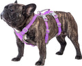 Escape Proof Dog Harness for Medium Dogs - Secure Reflective Vest